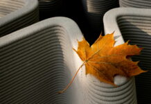 Impression 3D en ligne