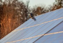 Comprendre_le_rendement_d'un_panneau_solaire