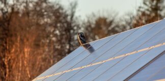 Comprendre_le_rendement_d'un_panneau_solaire